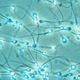 Image for article titled More Great News: Common Plastics Are Killing Your Sperm